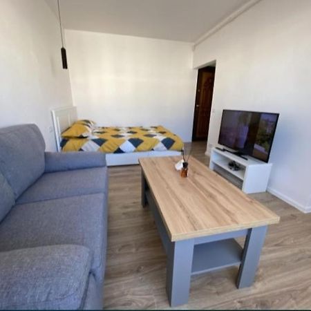 Studio 100G Apartment Targoviste Luaran gambar